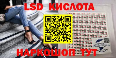 ПСИЛОЦИБИНОВЫЕ ГРИБЫ Новозыбков