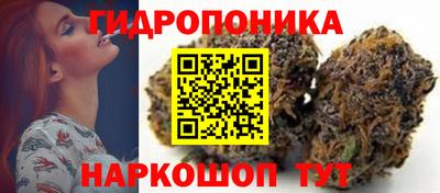 ПСИЛОЦИБИНОВЫЕ ГРИБЫ Новозыбков