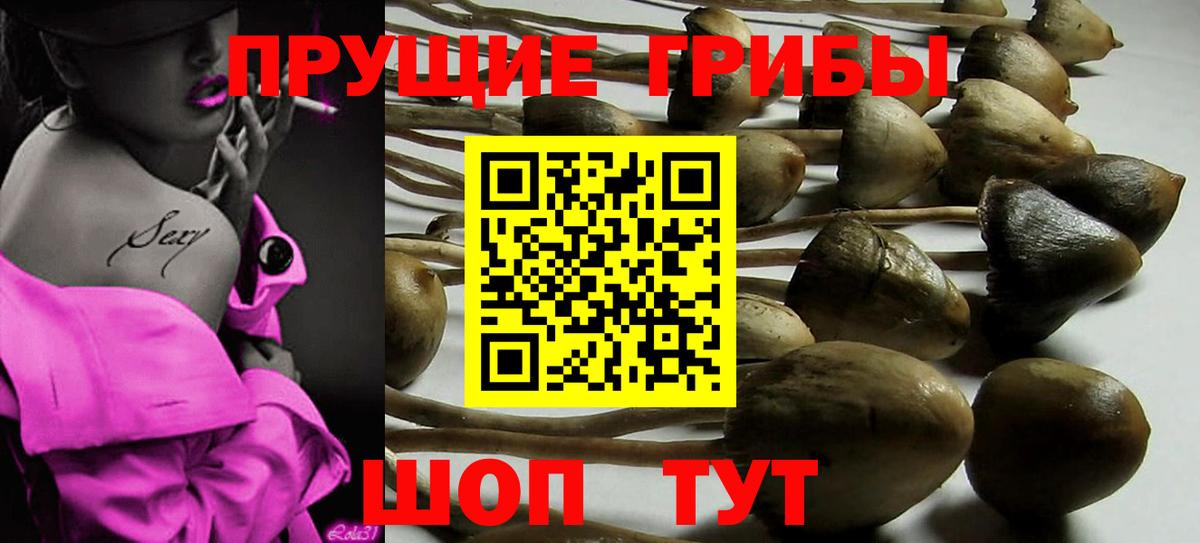 Галлюциногенные грибы мухоморы Таганрог
