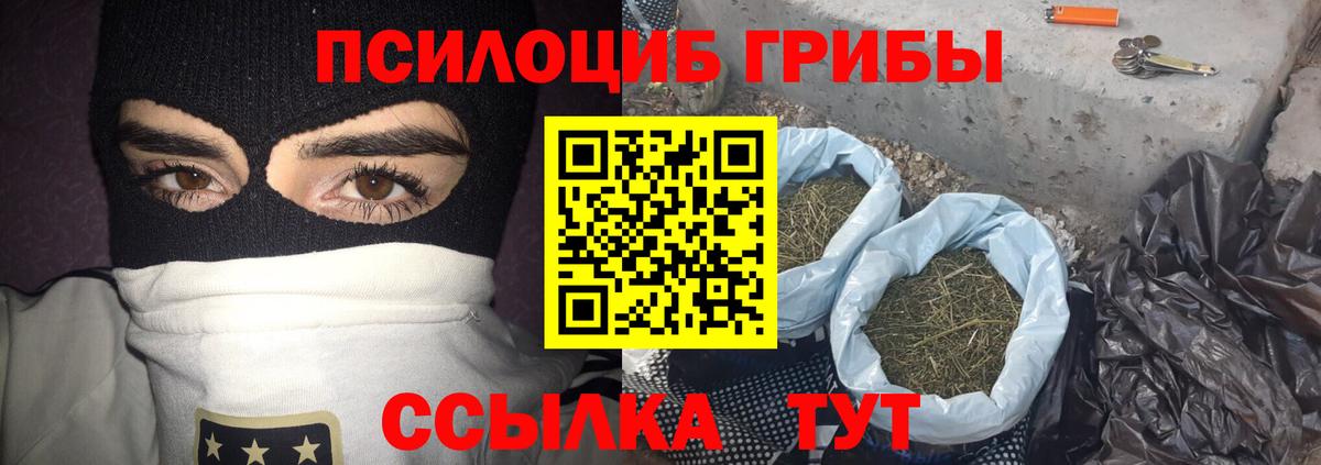 Таганрог  Псилоцибиновые грибы прущие грибы  Вход с VPN 